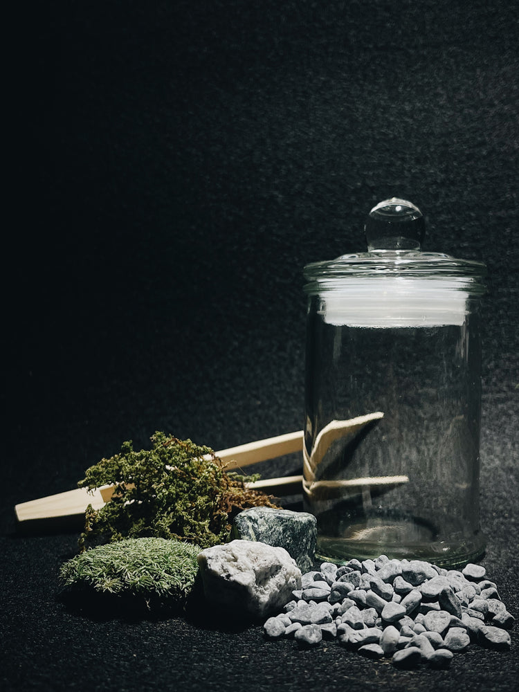 REVIVE DIY TERRARIUM KIT